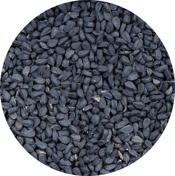 seeds